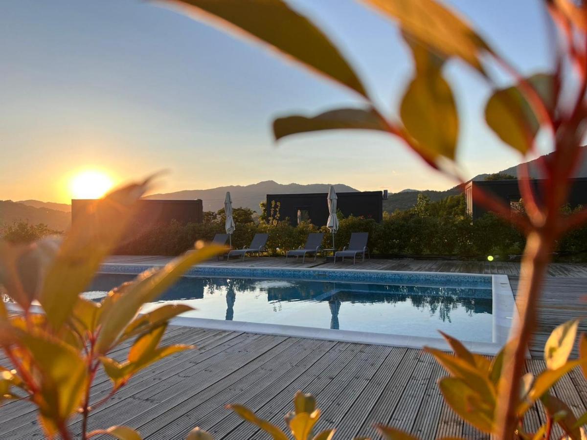 Flandra Glamping Otel Corbeni Dış mekan fotoğraf