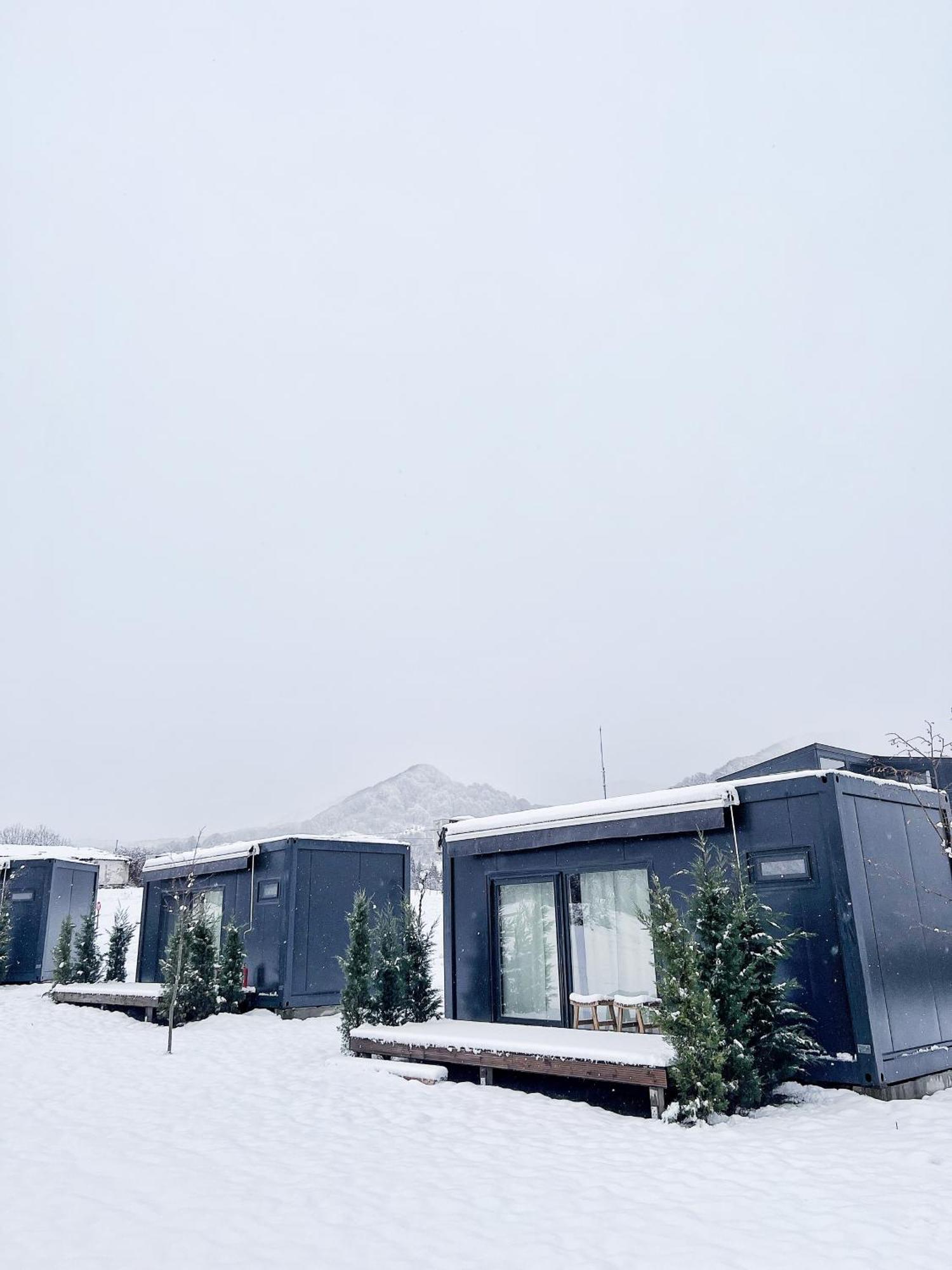 Flandra Glamping Otel Corbeni Dış mekan fotoğraf
